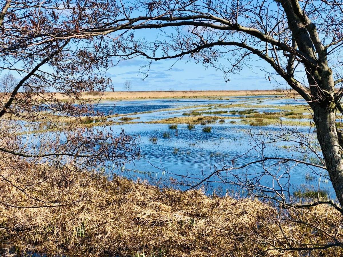 Domki I Apartamenty Caloroczne Koliber Władysławowo Exteriér fotografie